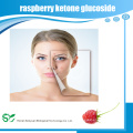 Low price raspberry ketone glucoside extract